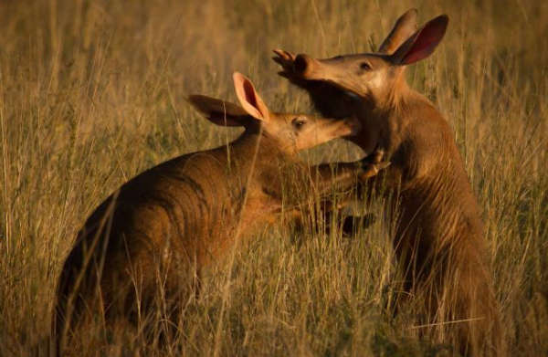 事业单元面试战鼓敲响 你和竞争对手差距有多大?_IM电竞平台(图3) IM电竞平台
