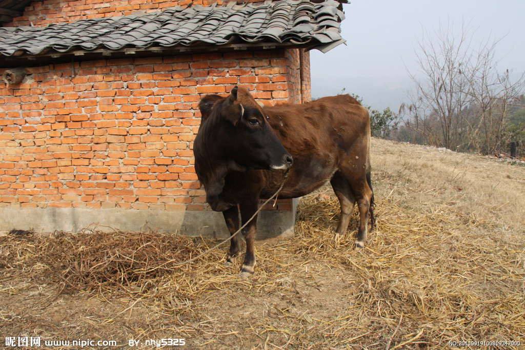 IM电竞平台|iOS10iMessage重大升级iMessage可斗图发红包(图4) IM电竞官网