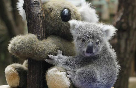 二战后犹太人还恨德国吗‘IM电竞’