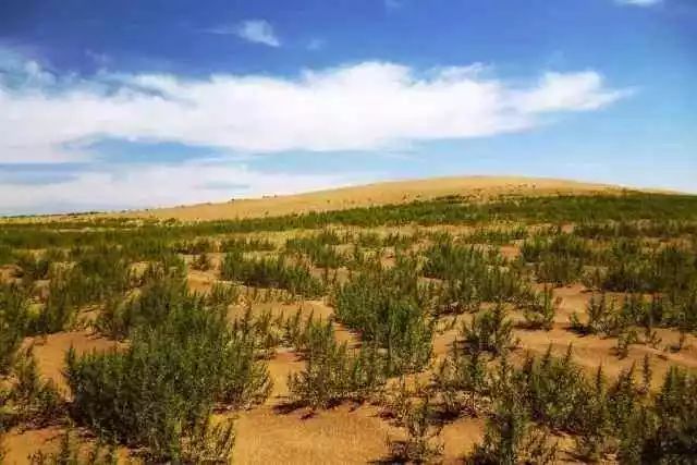 【IM电竞官网】威廉·哈维生平成就如何评价威廉·哈维?(图3) IM电竞平台