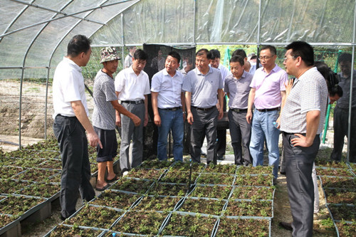 杜甫卖药的故事-IM电竞